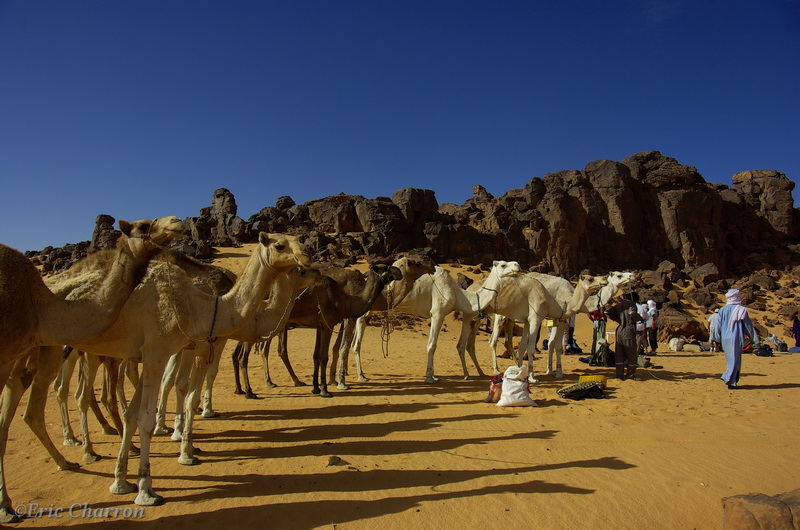 Sahara, Essendilen